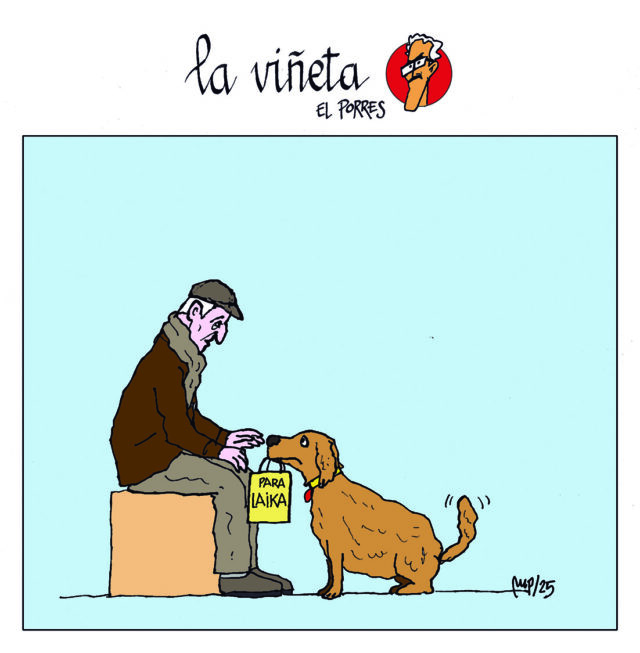 Viñeta 9 enero 2025