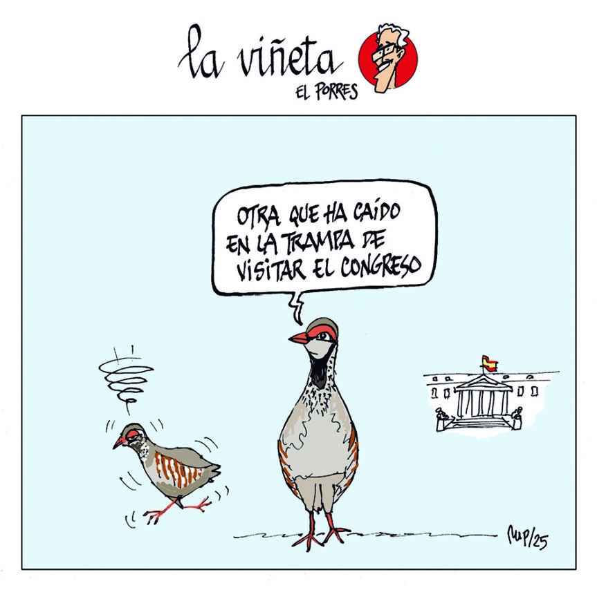 Viñeta 12 enero 2025