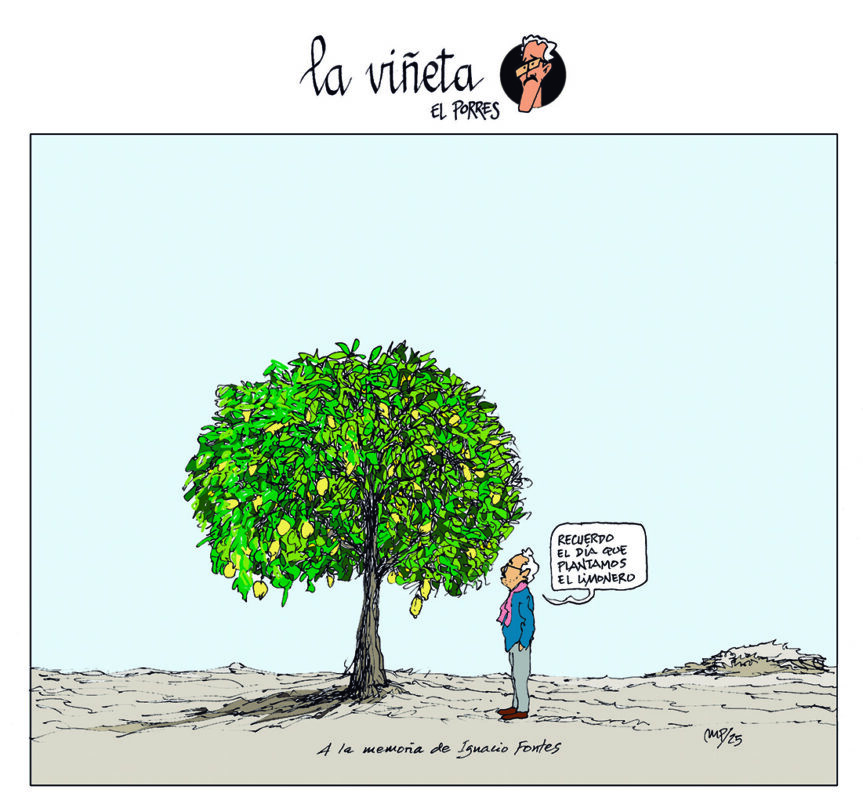 Viñeta 19 enero 2025