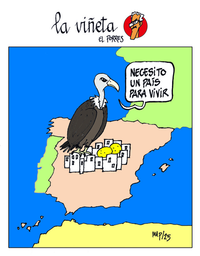 Viñeta 5 febrero 2025