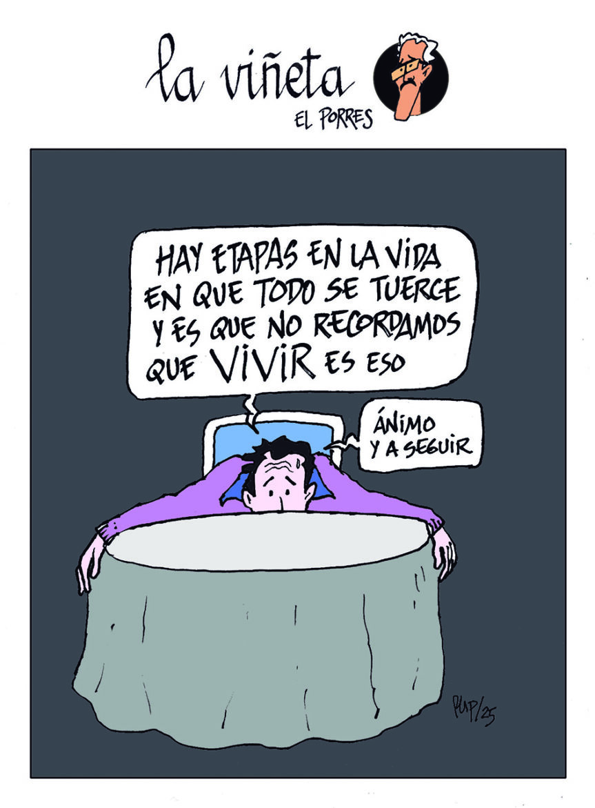 Viñeta 19 febrero 2025