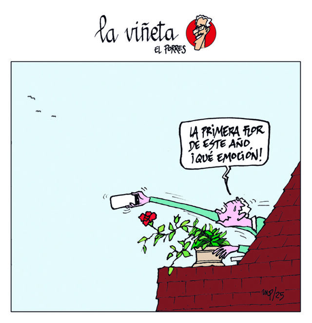 Viñeta 9 mayo 2025