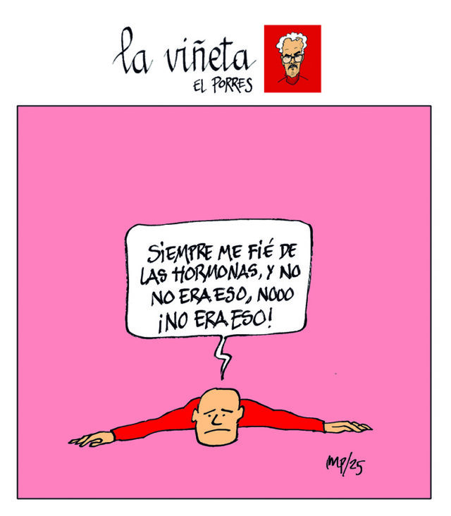 Viñeta 12 noviembre 2025