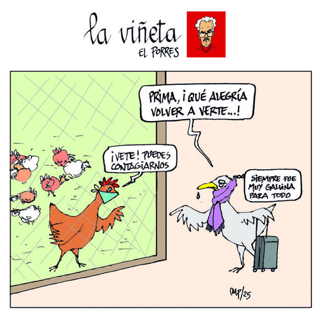 Viñeta 14 noviembre 2025