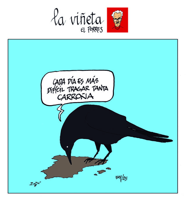 Viñeta 26 noviembre 2025