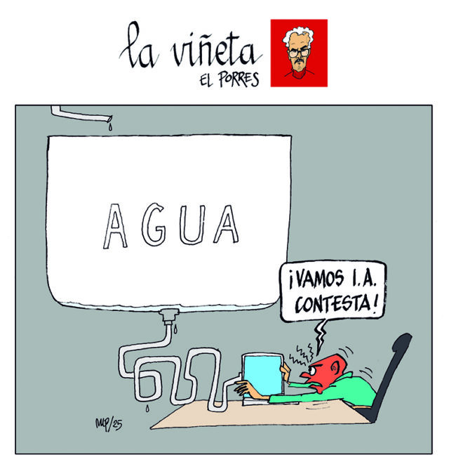 Viñeta 6 diciembre 2025