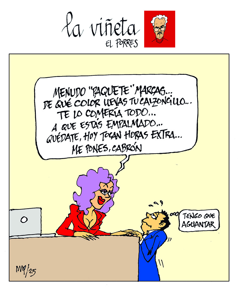 Viñeta 15 diciembre 2025