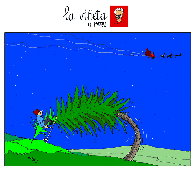 Viñeta 24 diciembre 2025