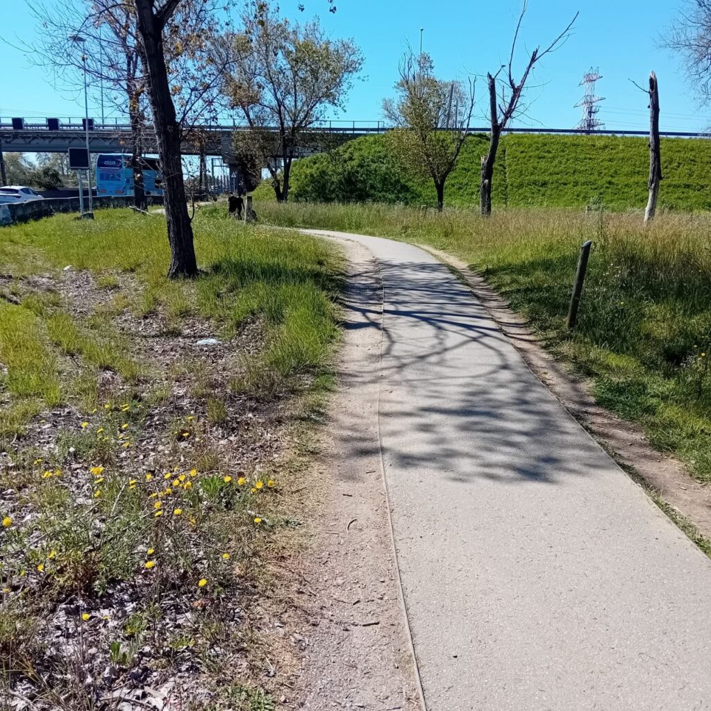El camí del riu per fi net, encara que no del tot
