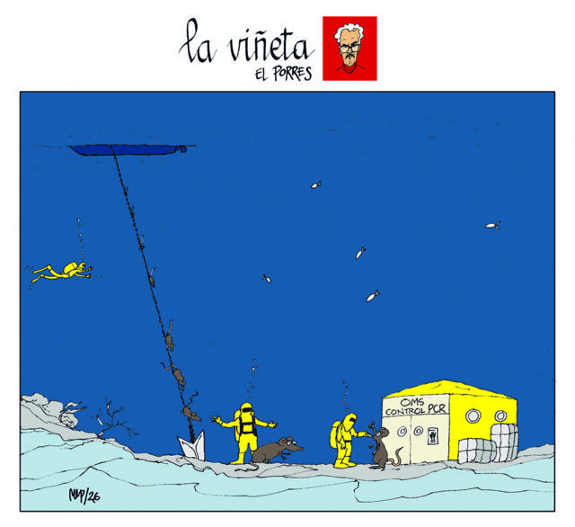Viñeta 13 mayo 2026