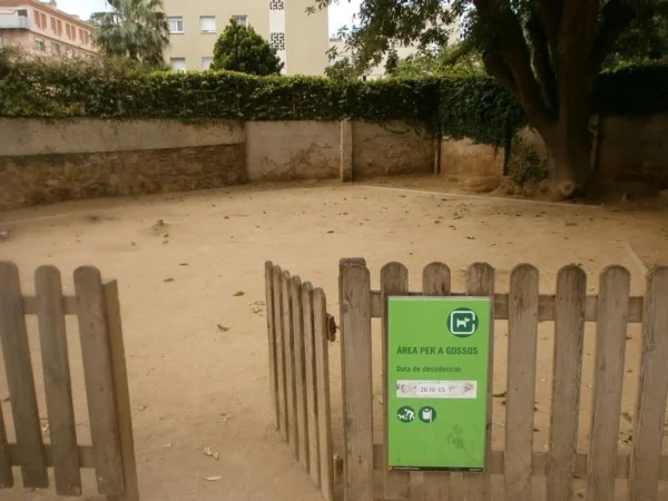 La normalitat de les anormalitats (o viceversa)