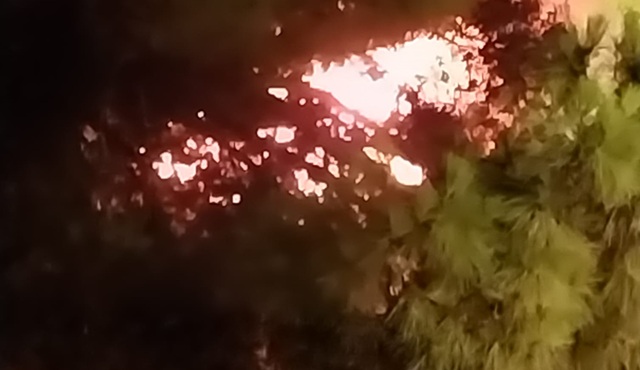 Un incendio en el parque de Les Planes reaviva las quejas vecinales por la inseguridad y la falta de vigilancia en Can Serra y alrededores