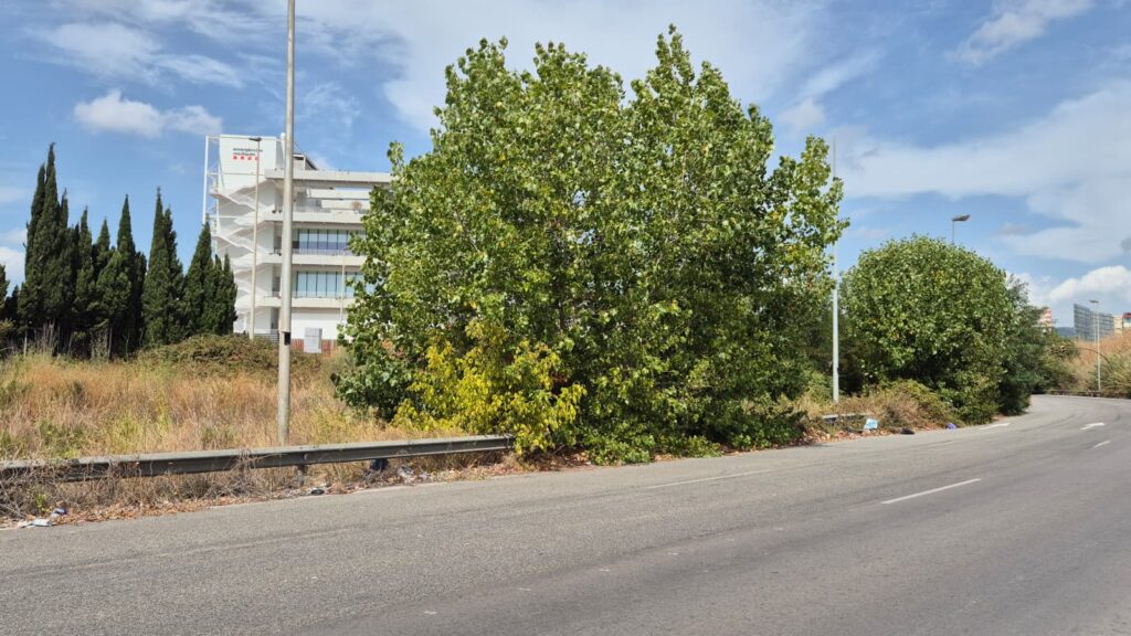 El vial que conecta la Ronda Litoral con Bellvitge, paso obligado para acceder al barrio y a Gran Via Sud, abandonado tras su cesión al Ayuntamiento