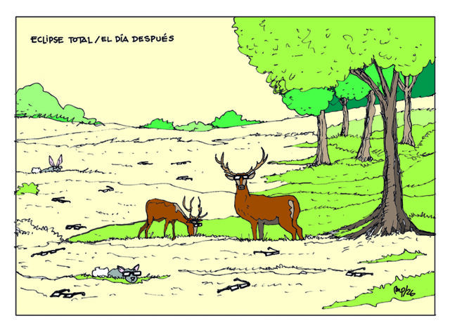Viñeta 13 agosto 2026