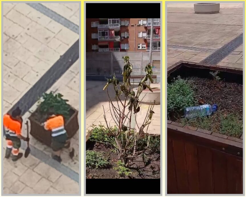 Vecinos y oposición reclaman más inversión en el mantenimiento de parques y jardines